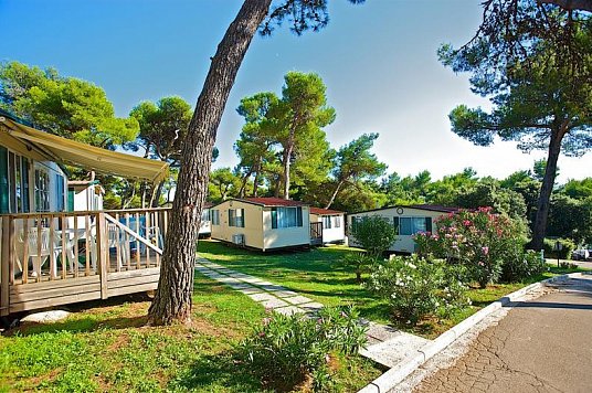 Camping Arena Indije