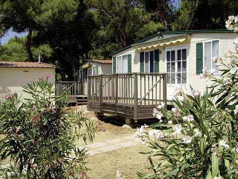 Camping Arena Indije