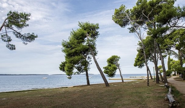 Camping Pineta-Fazana
