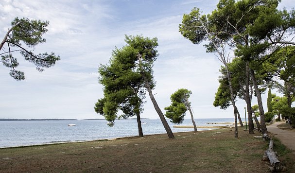 Camping Pineta-Fazana