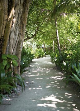 Biyadhoo Island Resort