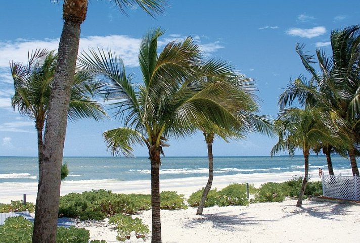 Sonnenseite Floridas & Beach (Standard-Variante)