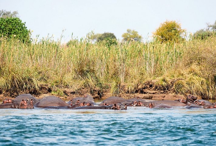 Zambezi Queen 2 Nächte