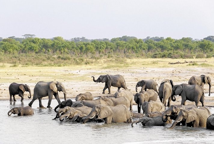 Zambezi Queen 2 Nächte