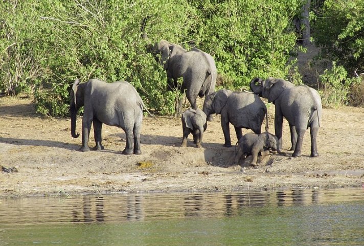 Zambezi Queen 2 Nächte