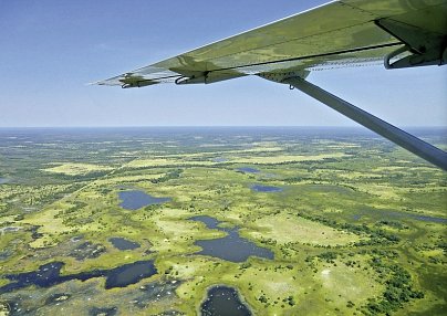 Chobe & Okavango Fly In Safari Kasane