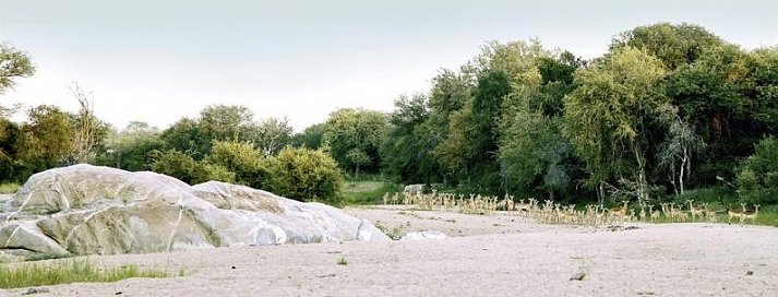 Erlebnis Krüger Park (Gruppenreise)