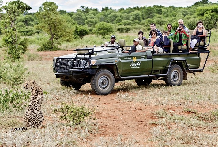 Panorama Südafrika (Autoreise)