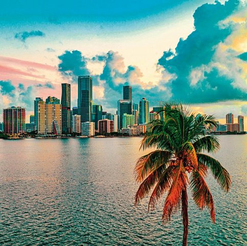 Florida Sunshine State