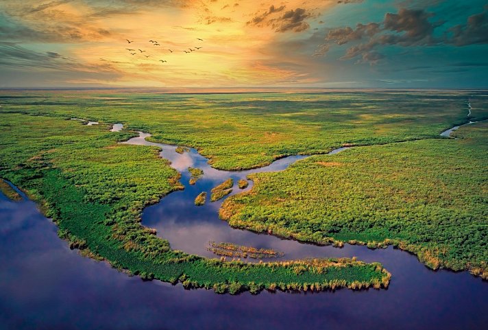 Florida Sunshine State