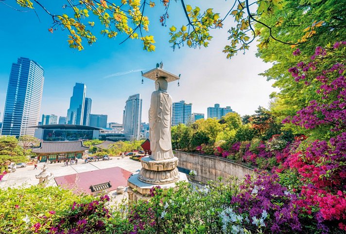 Südkorea aktiv (nur Landprogramm)
