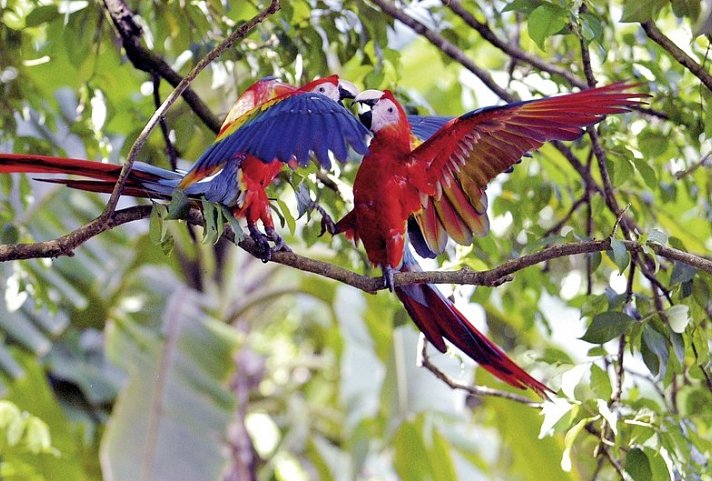 Costa Rica - Fernab der Pfade