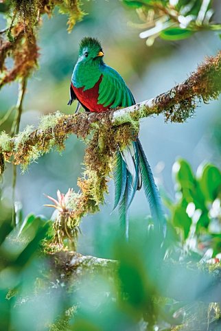 Costa Rica - Fernab der Pfade