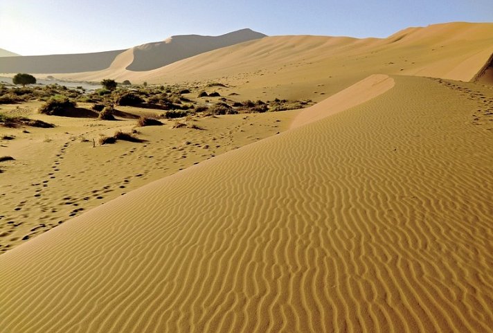 Namibia Classic Superior