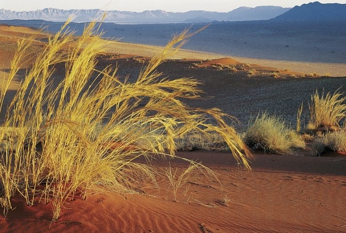 Namibia Classic Superior