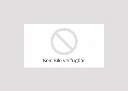 Vierschanzentournee in Bischofshofen