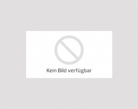 Karibik – Star Flyer