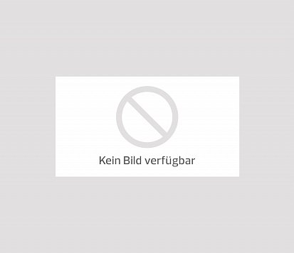 Chase the Race - Kitzbühel – Schladming