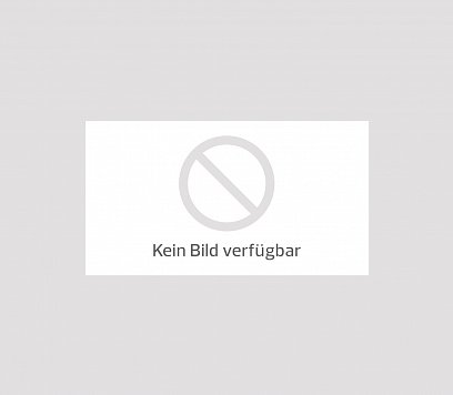 Chase the Race - Kitzbühel – Schladming