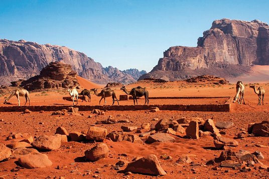 Abenteuer und Kultur - Jordanien Rundreise