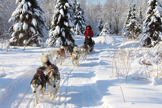 Finnischer Winterzauber - Lappland