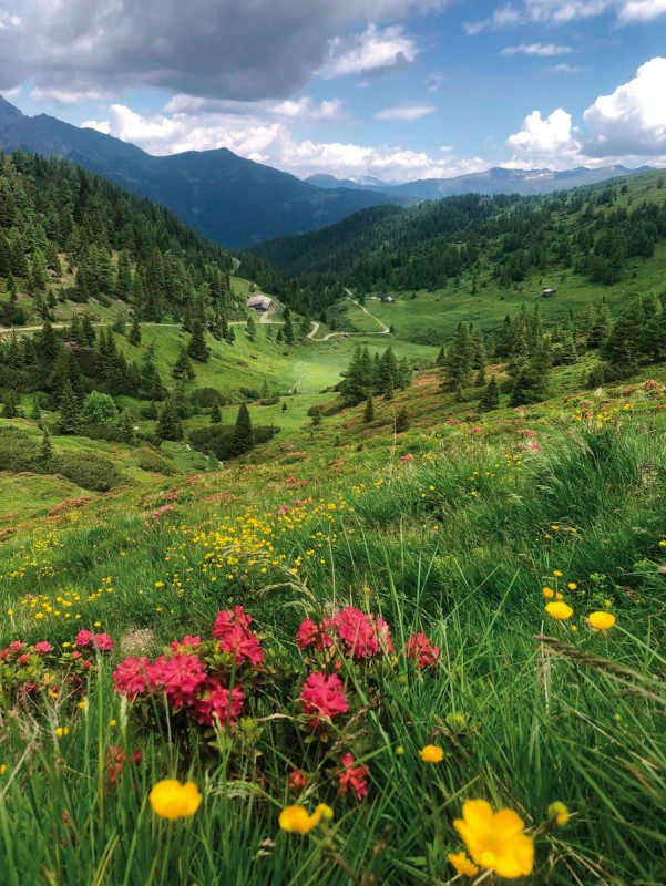 Wanderreise Alpenüberquerung – von Garmisch nach Sterzing