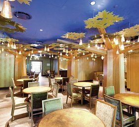 Disney Sequoia Lodge