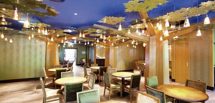 Disney Sequoia Lodge