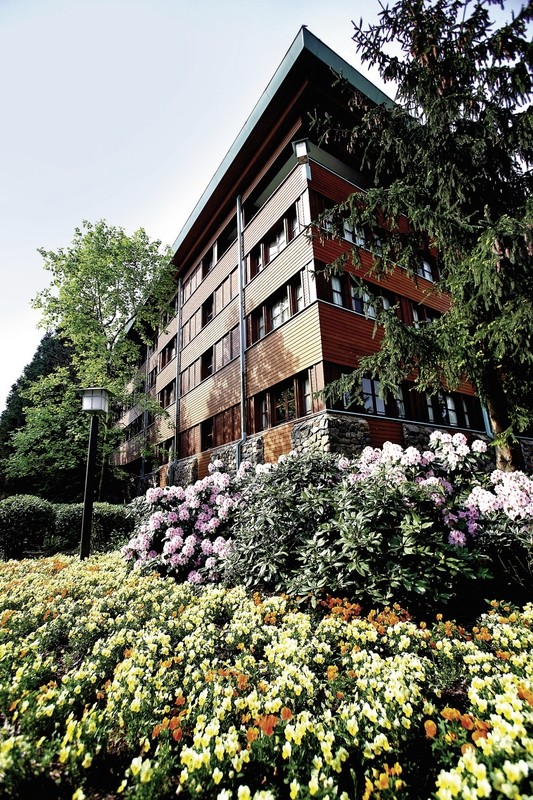 Disney Sequoia Lodge