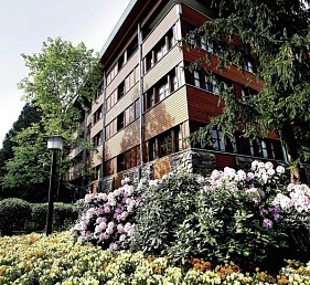 Disney Sequoia Lodge