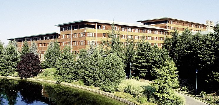 Disney Sequoia Lodge