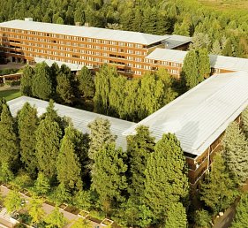 Disney Sequoia Lodge