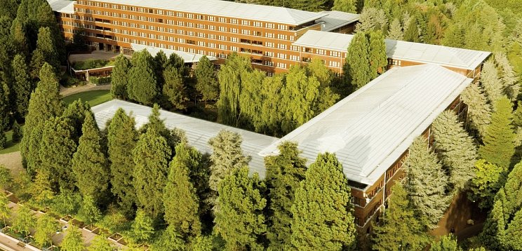 Disney Sequoia Lodge