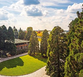 Disney Sequoia Lodge