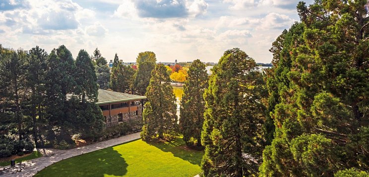 Disney Sequoia Lodge