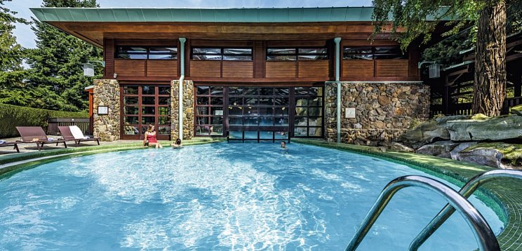 Disney Sequoia Lodge