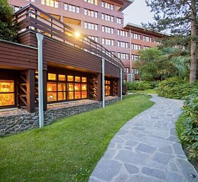 Disney Sequoia Lodge