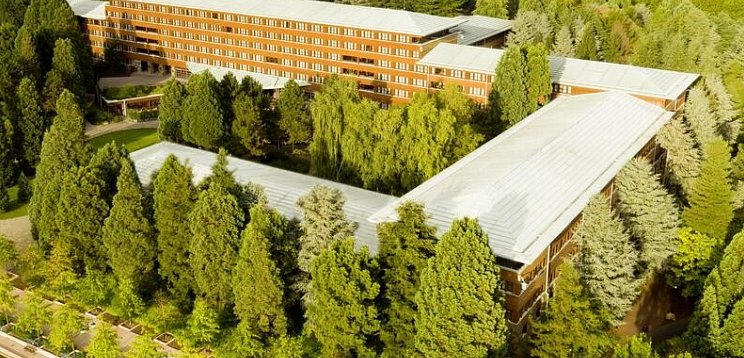 Disney Sequoia Lodge