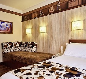 Disney Hotel Cheyenne