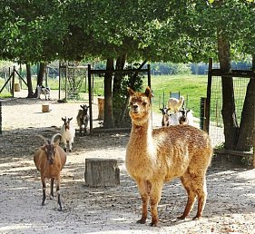 Campanile Val de France