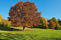 Mercure Hotel Muenchen Neuperlach Sued