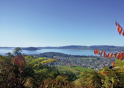 Naturwunder Neuseelands Auckland