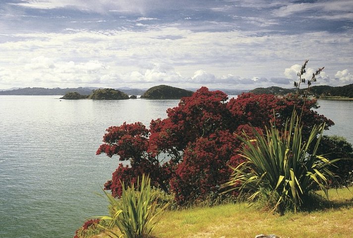 Klassische Neuseeland Rundreise