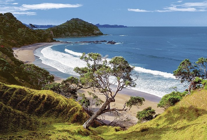 Neuseeland auf eigene Faust (Auckland-Christchurch)