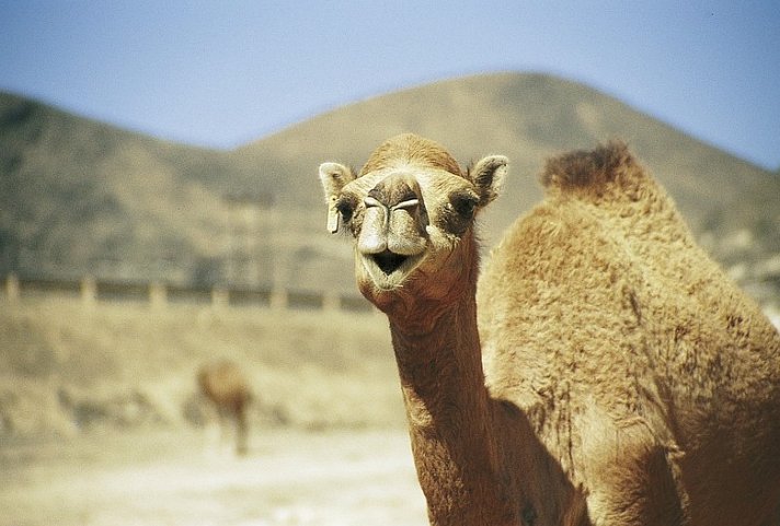 Jordanien entdecken