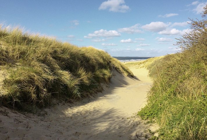 MS Normandie - Zeeland-Route