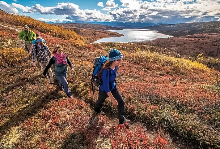 Denali Backcountry Lodge