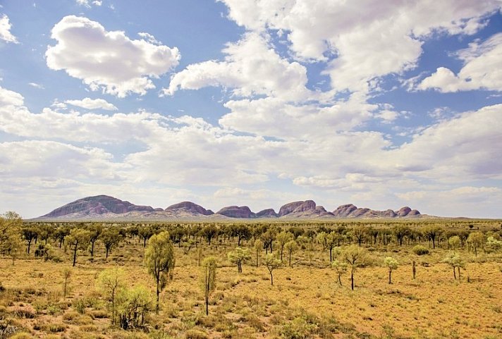 Rotes Zentrum & Kings Canyon