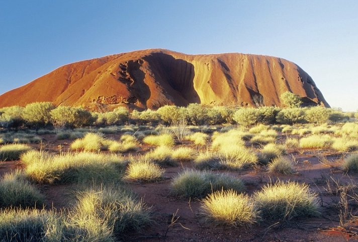 Rotes Zentrum & Kings Canyon