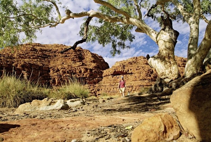 Camping Abenteuer im Roten Zentrum (ab Yulara)